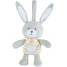 Chicco Coniglietto Polvere di Stelle First Dreams