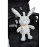 Chicco Coniglietto Polvere di Stelle First Dreams