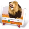 Clementoni Enciclopedia-Gioco elettronico, Quiz su Animali, Corpo Umano, Dinosauri e Storia-sapientino Penna interattiva