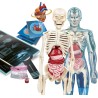 Laboratorio Anatomia - Clementoni 19299