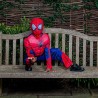 Costume Spiderman Deluxe L - Rubie's 640841L             