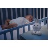 Coniglietto Dolce Notte - Chicco 11456