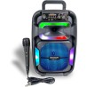 Cassa Acustica Wireless Con Microfono - Bontempi 491030