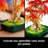 LEGO Botanicals bonsai di acero rosso - 10348