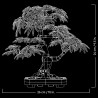 LEGO Botanicals Bonsai Di Acero Rosso - 10348