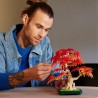 LEGO Botanicals Bonsai Di Acero Rosso - 10348