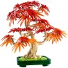 LEGO Botanicals bonsai di acero rosso - 10348