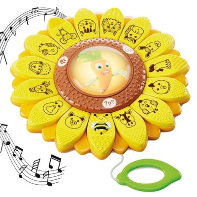 Carotina Girasole Educativo