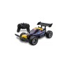 AUTO R/C 1:16 BUGGY LEOPARD