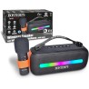 Amplificatore Wireless Karaoke Con Microfono Dinamico