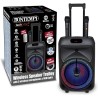 Cassa Trolley Acustica Wireless Con 2 Microfoni Senza Filo