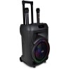 Cassa Trolley Acustica Wireless Con 2 Microfoni Senza Filo