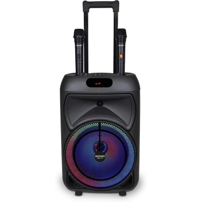Cassa Trolley Acustica Wireless Con 2 Microfoni Senza Filo