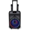 Cassa Trolley Acustica Wireless Con 2 Microfoni Senza Filo