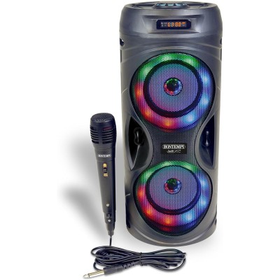 Amplificatore Wireless Karaoke Con Microfono Dinamico