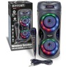 Amplificatore Wireless Karaoke Con Microfono Dinamico