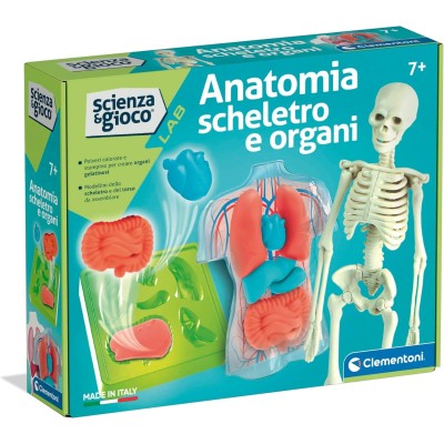 Clementoni Scienza&Gioco Lab - Anatomia Scheletro E Organi