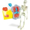 Clementoni Scienza&Gioco Lab - Anatomia Scheletro E Organi