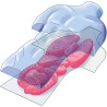 Clementoni Scienza&Gioco Lab - Anatomia Scheletro E Organi