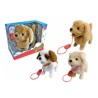 Cane Cucciolo Filoguidato 3 Modelli Assortiti