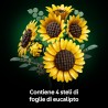 LEGO Botanicals Bouquet di Girasoli - 11502