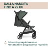 Passeggino Urbino Chicco - Evergreen