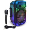 Cassa Acustica Wireless con Microfono Dinamico Bontempi