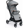 Passeggino Oliver Cam - Grigio Col. 210