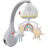 Giostrina Dolce Arcobaleno Fisher-Price per Culla Fianco Letto