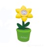 Fiore Spara Bolle 80 ml Col Assortiti