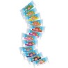 Didò Arcobaleno Pasta Modellabile - Fila 97900